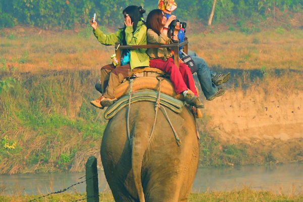 Chitwan Jungle Safari Tour Package from Gorakhpur